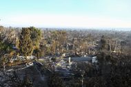 Pacific Palisades homes after wildfire in Los Angeles (Image via Getty)
